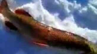 Якутская щука - смотреть видео (2:49)