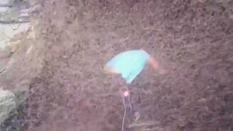 Жуки против молодёжи - смотреть видео (0:48)