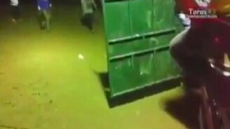 Внезапная корова - смотреть видео (0:11)