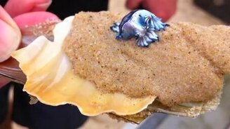 Редкий голубой дракон - смотреть видео (0:30)