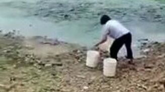 Кормление рыбы в пруду - смотреть видео (1:21)