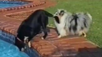 Дружески подстраховал - смотреть видео (0:07)