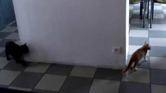 Вот, что значит жизненный опыт - смотреть видео (0:21)