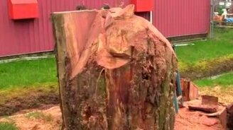 Олень из большого пня - смотреть видео (6:49)