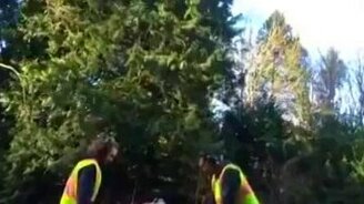 Бур в качестве карусели - смотреть видео (1:09)