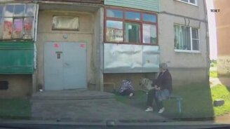 Самая неуклюжая хозяйка - смотреть видео (0:24)