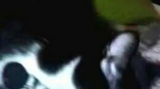 Котопёс носит апорт - смотреть видео (1:34)