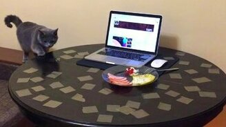 Отучаем кота лазить на стол - смотреть видео (1:00)