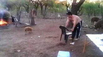 Захотел шашлычка - смотреть видео (0:20)