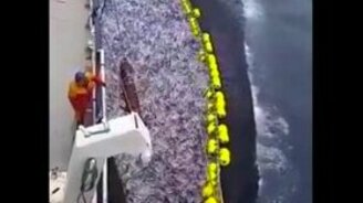 Как для нас рыбку вылавливают - смотреть видео (0:15)