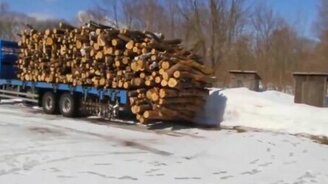 Быстрая выгрузка дерева - смотреть видео (0:48)