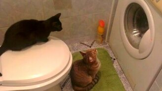 Три зрителя перед экраном - смотреть видео (0:40)