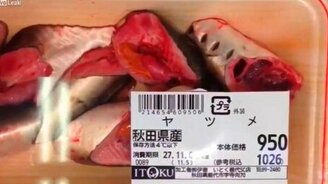 Наисвежайшая рыба - смотреть видео (0:20)