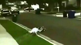 Газонокосилка взбесилась - смотреть видео (0:12)