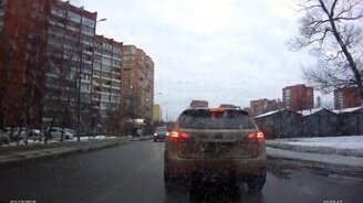 Перенёс щенка через дорогу - смотреть видео (1:05)