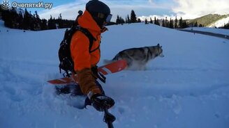 Зимняя прогулка с собакой - смотреть видео (2:29)