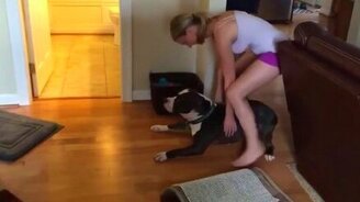 Пёс не хочет в ванну - смотреть видео (0:23)