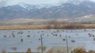 Перекати-поле на ветру - смотреть видео (0:27)