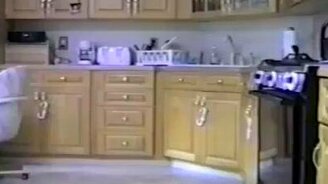 Собаки воруют еду - смотреть видео (2:53)