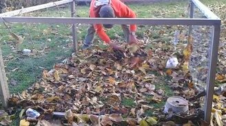 Кролик против осенних листьев - смотреть видео (0:52)