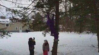 Люди против деревьев - смотреть видео (1:21)