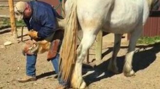 Как подковать недоверчивую лошадь - смотреть видео (3:26)