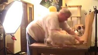 Настоящий кошатник - смотреть видео (1:48)