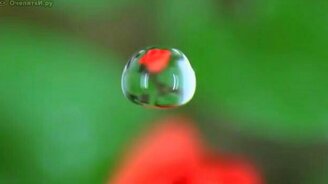 Замедленная красота - смотреть видео (4:03)