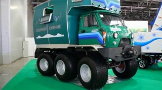 Вот такая вот мурашка! - смотреть видео (0:27)