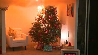 Как горит новогодняя ёлка - смотреть видео (1:32)