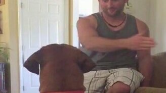 Получи по застугам! - смотреть видео (0:16)