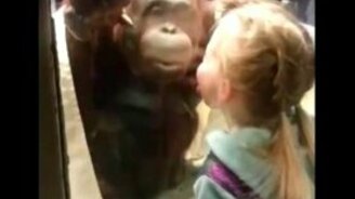 Дети общаются со зверьми в зоопарке - смотреть видео (5:31)