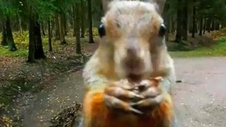 Нашли общий язык - смотреть видео (1:56)