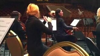 Арфистка на месте, а арфы нет - смотреть видео (0:28)