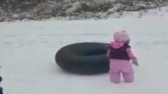 Собака-пузотёрка - смотреть видео (0:15)