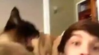 С котом шутки плохи! - смотреть видео (0:07)