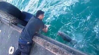 Поймал рыбу без удочки и спиннига - смотреть видео (2:49)