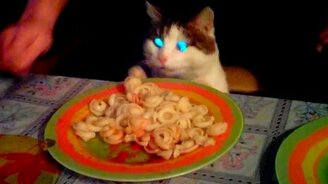 Еда украдкой при всех - смотреть видео (1:53)