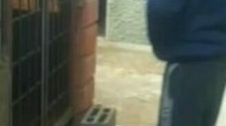 Ибо нечего травить собак! - смотреть видео (0:41)