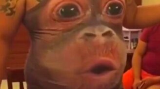 Правильная майка - смотреть видео (0:07)