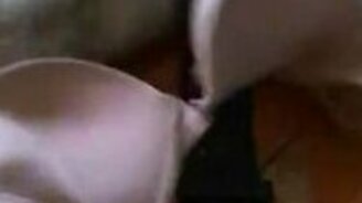 Хорёк против лифчика - смотреть видео (0:23)