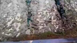 Учения в индонезийской армии - смотреть видео (2:12)