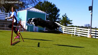 Собачьи трюки в замедлении - смотреть видео (3:06)