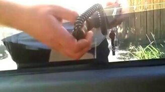 200 процентов тонировки - смотреть видео (0:26)