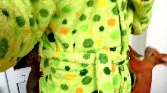 Две белки резвятся - смотреть видео (2:17)