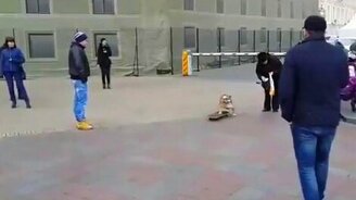 Бульдог на скейте в Новый год - смотреть видео (3:08)