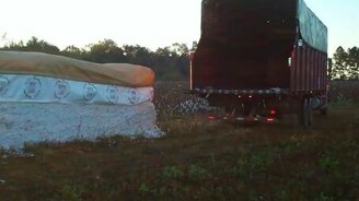 Грузим урожай хлопка - смотреть видео (1:18)