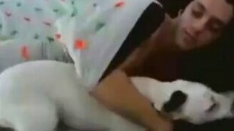 Собаки пробуждают хозяев - смотреть видео (1:43)