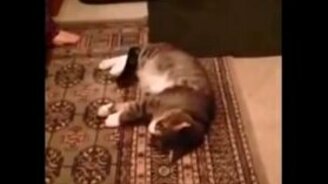 Я лучше умру, чем пойду гулять! - смотреть видео (3:27)