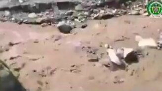 Спасли собаку из бурной реки - смотреть видео (1:45)